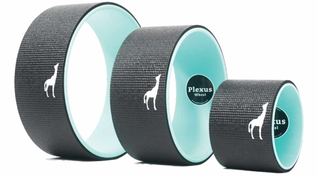 Chirp Plexus Wheel Review - Back Pain Relief Is On The Way · Building ...