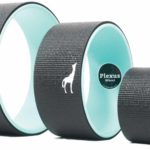 Chirp Plexus Wheel Review - Back Pain Relief Is On The Way