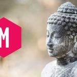 Movement for Modern Life Review - Yoga for Everyone